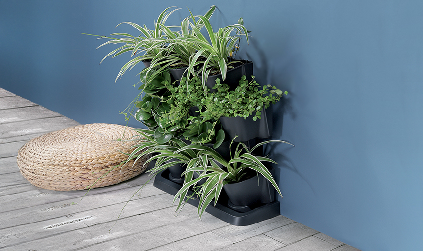 3903-topf-set-halbrund-ambiente-quer