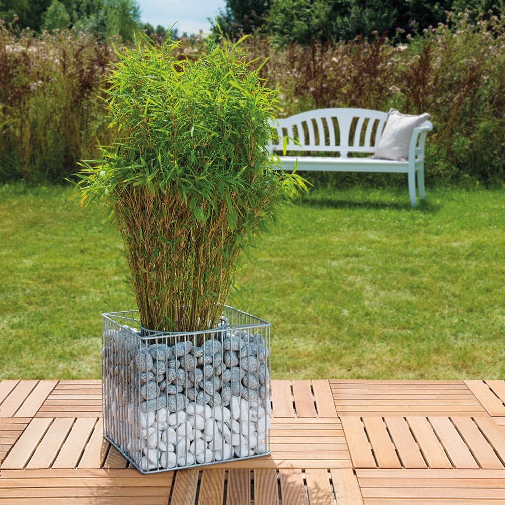 5419_gabione_futura_eckig_40x40x39cm_ambiente
